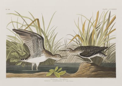 Illustration de 