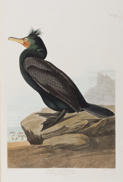 Illustration de 