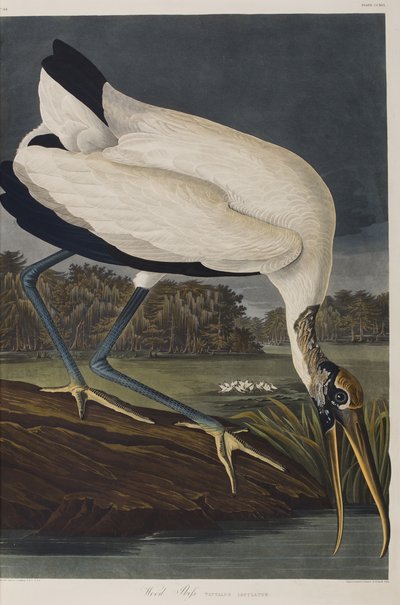 Illustration de 