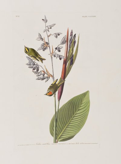 Illustration de 