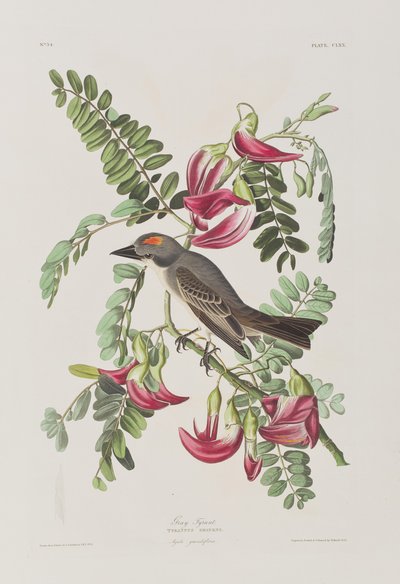 Illustration de 