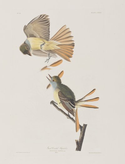 Illustration de 