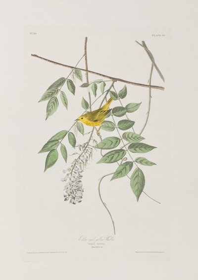 Illustration de 