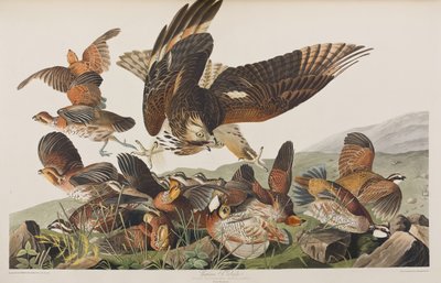 Illustration de 