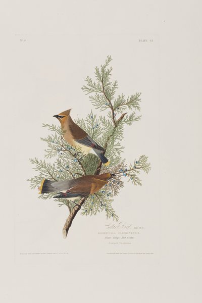 Illustration de 