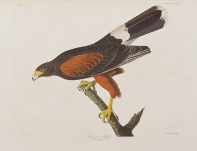 Illustration de 
