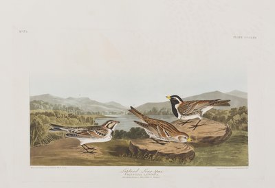 Illustration de 