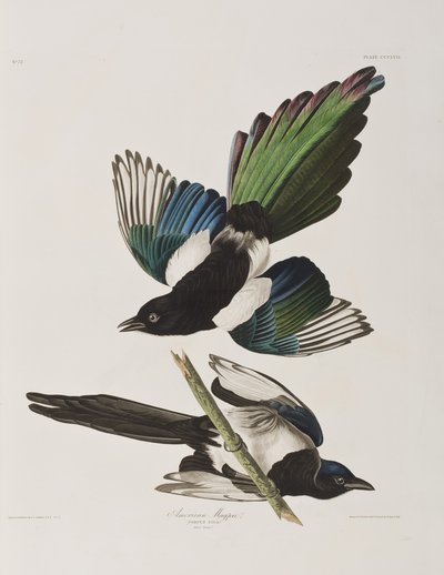 Illustration de 