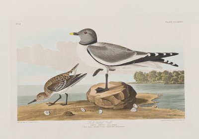 Illustration de 