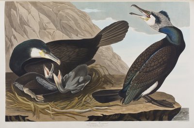 Illustration de 