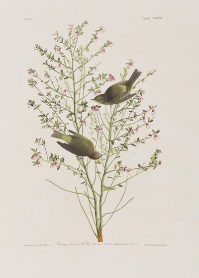 Illustration de 
