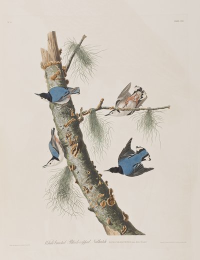 Illustration de 