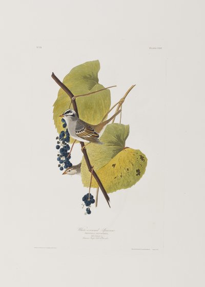Illustration de 