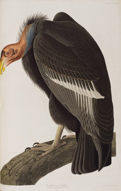 Illustration de 