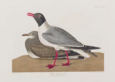 Illustration de 