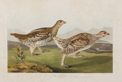 Illustration de 