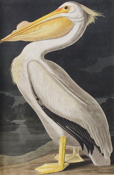 Illustration de 