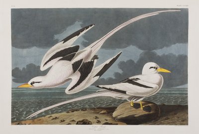 Illustration de 