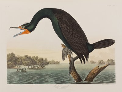 Illustration de 