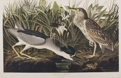 Illustration de 