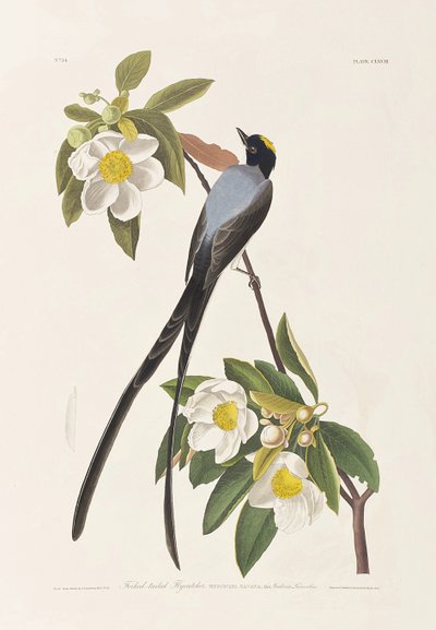 Illustration de 