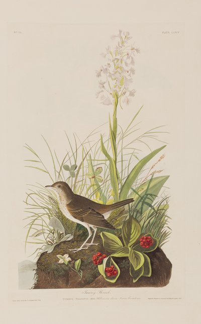 Illustration de 