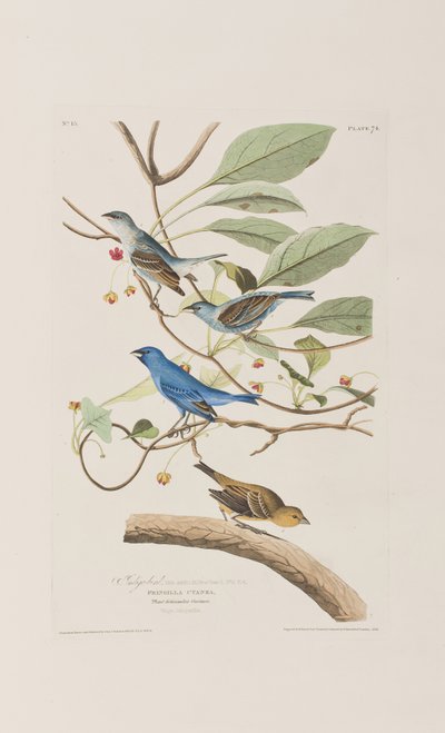 Illustration de 