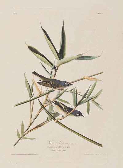 Illustration de 