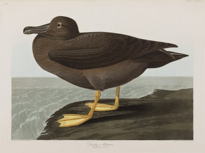 Illustration de 