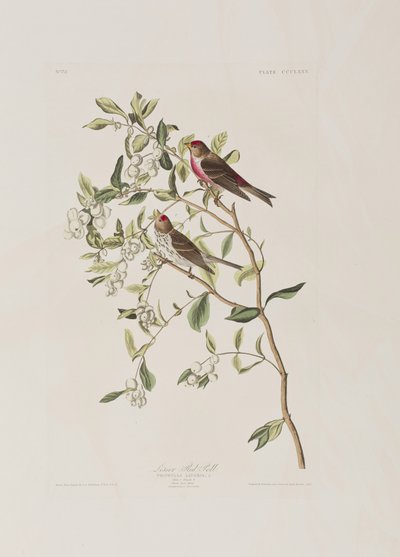 Illustration de 