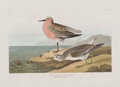 Illustration de 