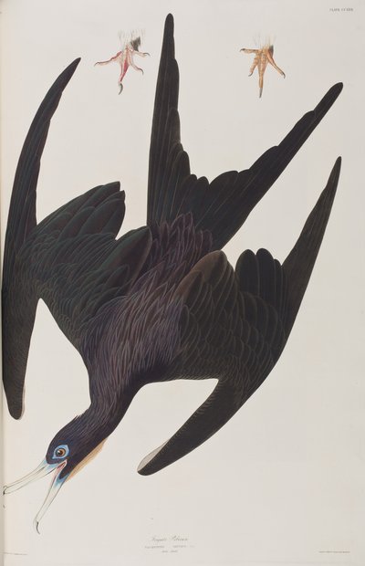 Illustration de 