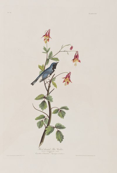 Illustration de 