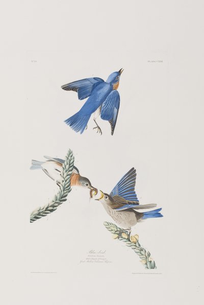Illustration de 