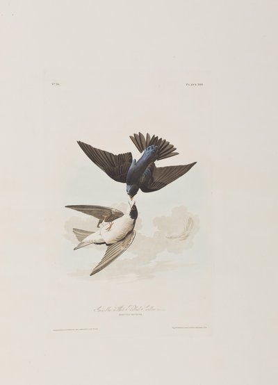 Illustration de 