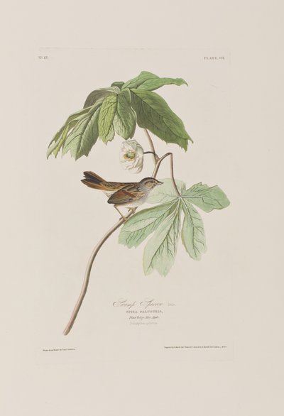 Illustration de 