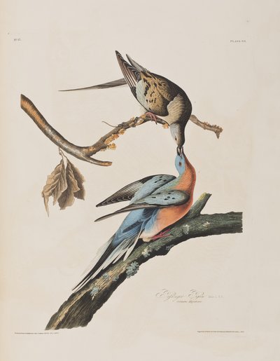 Illustration de 