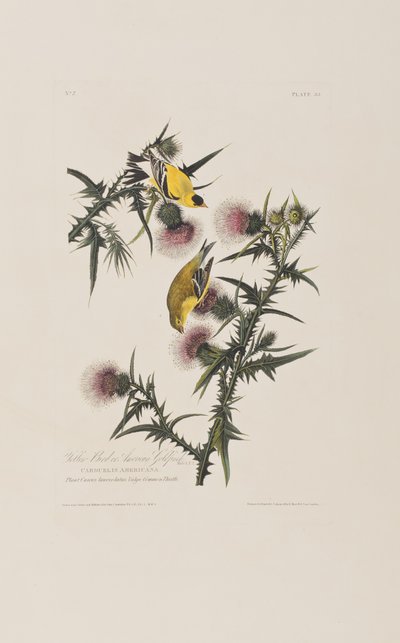 Illustration de 
