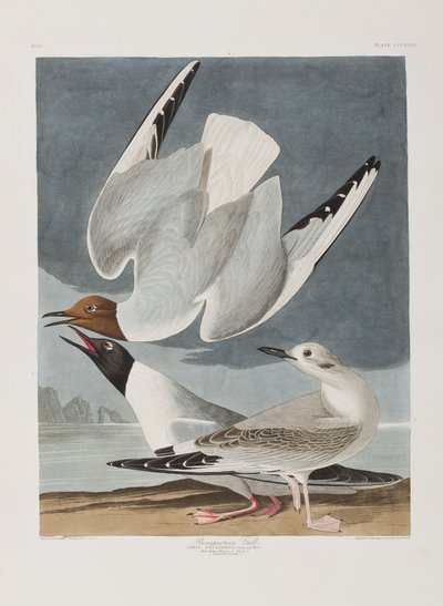 Illustration de 