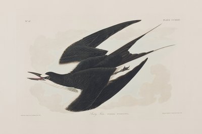 Illustration de 