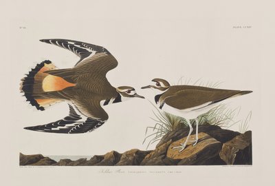 Illustration de 