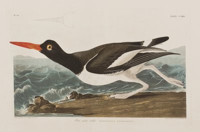 Illustration de 