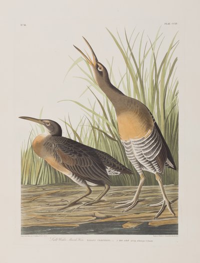 Illustration de 