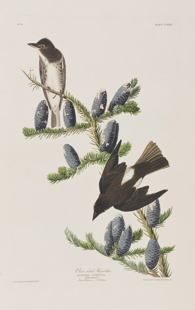 Illustration de 