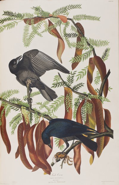 Illustration de 