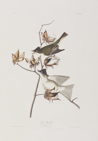 Illustration de 