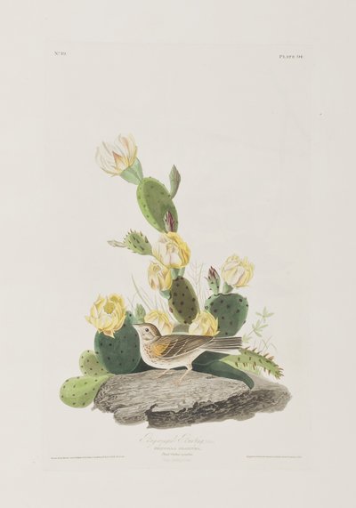 Illustration de 