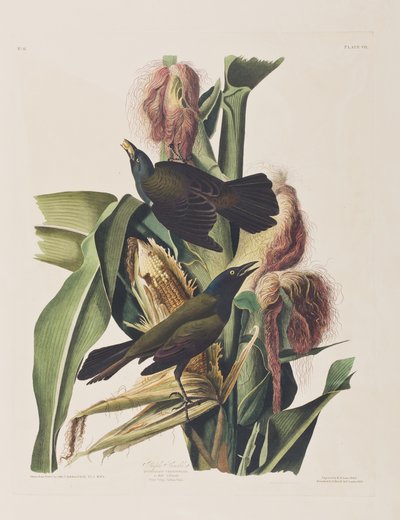 Illustration de 