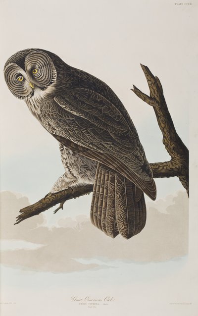 Illustration de 