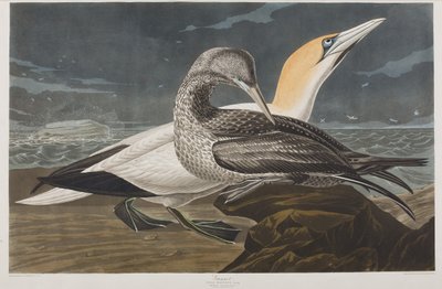 Illustration de 